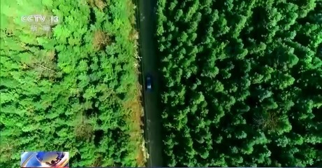 从亿本林权证看中国集体林权制度改革的新里程碑——新材料产业与绿色发展的协同效应